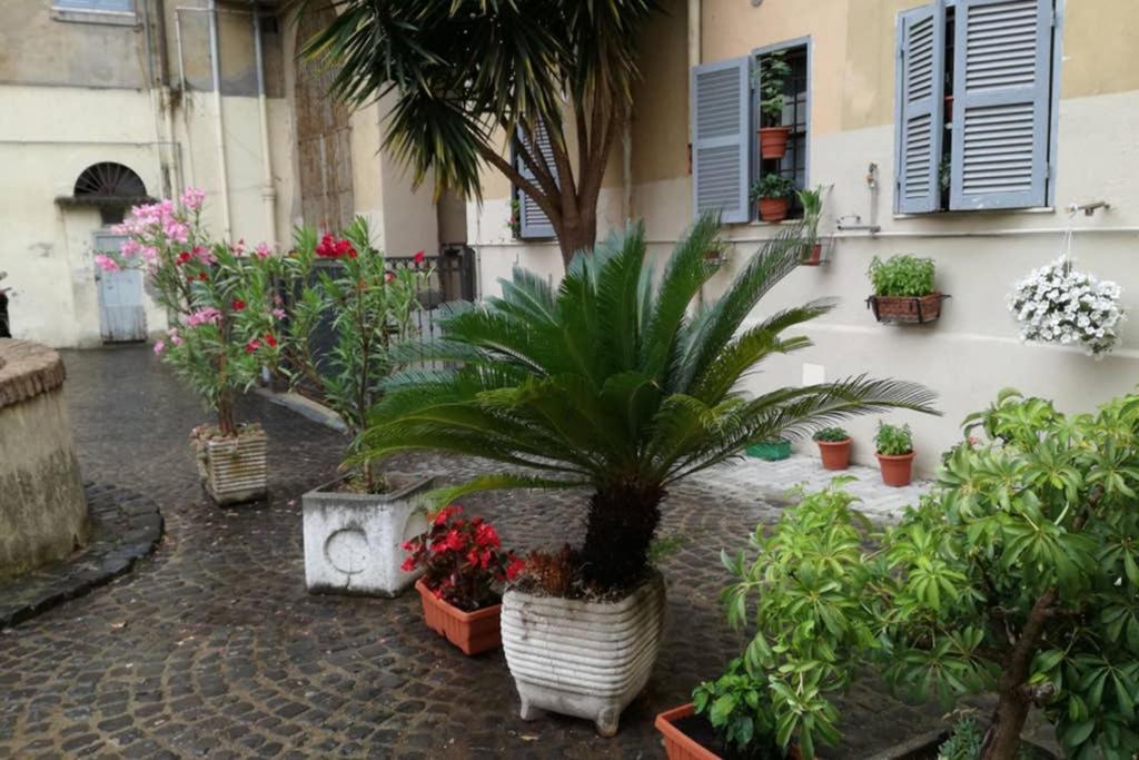 Trastevere House Daire Roma Dış mekan fotoğraf